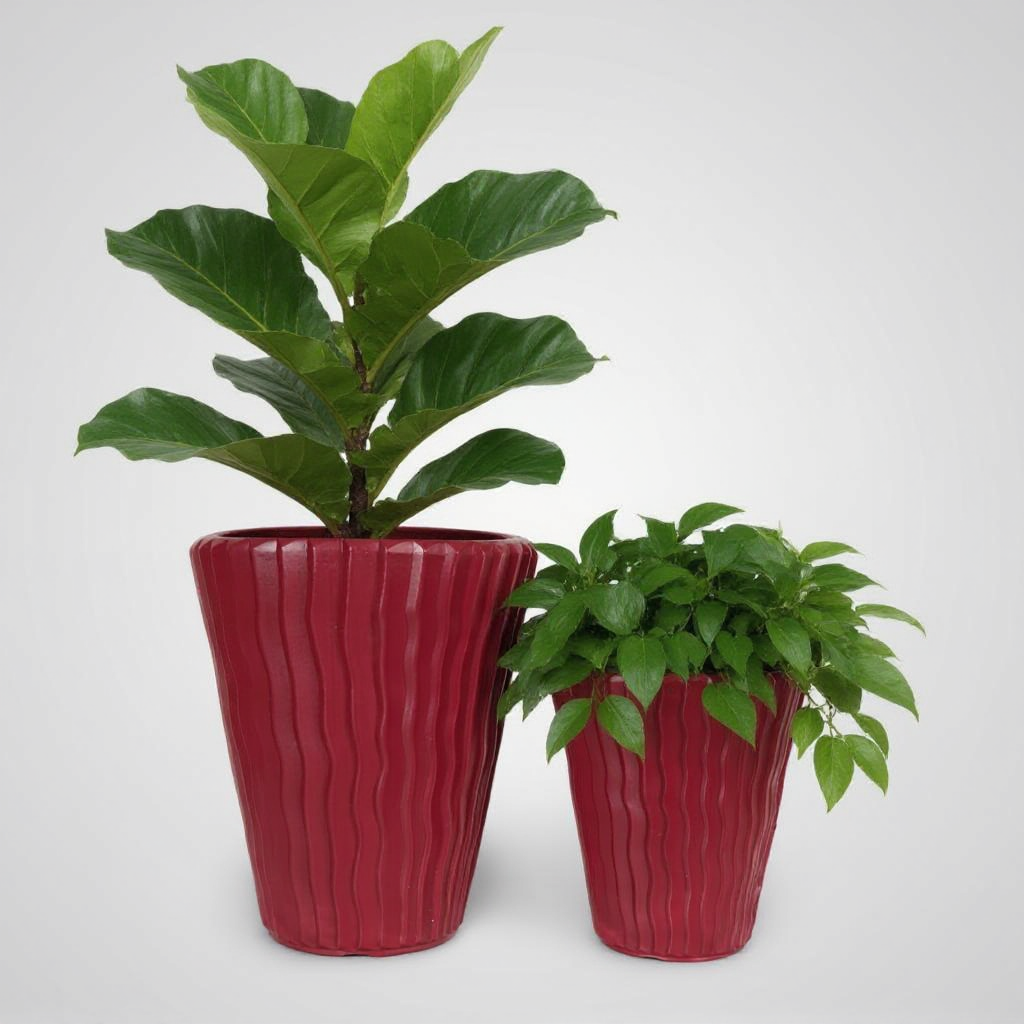 Plant Power