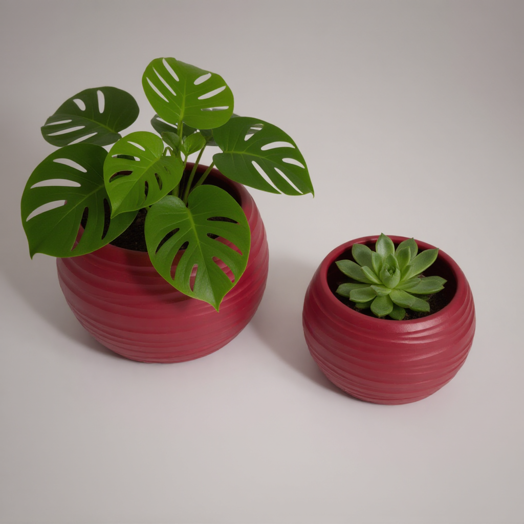 Plant Power