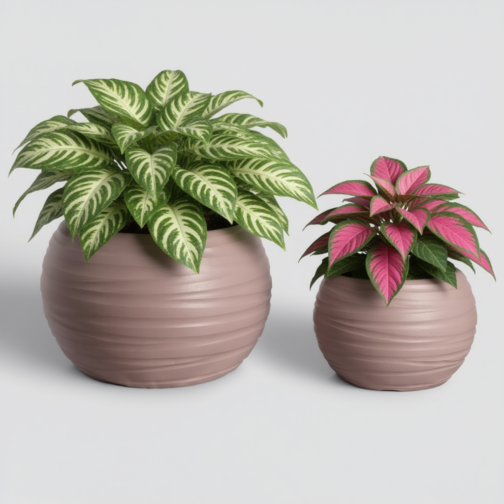 Plant Power