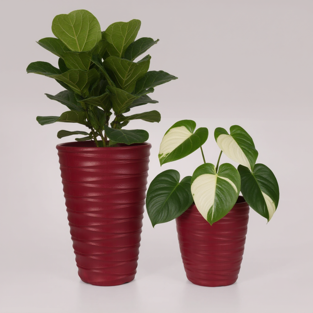Plant Power