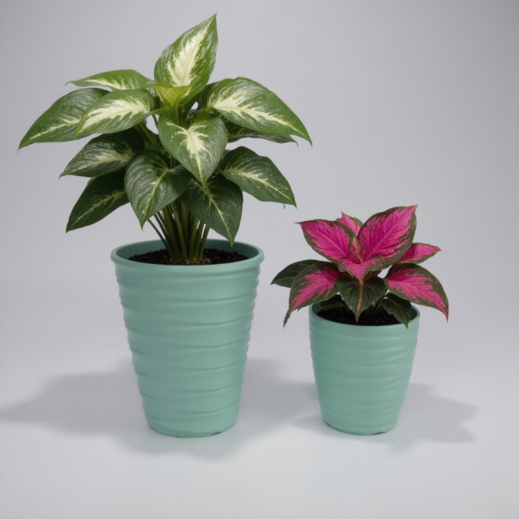 Plant Power
