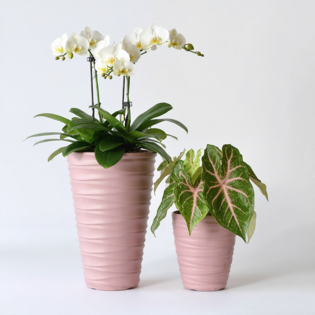 Plant Power