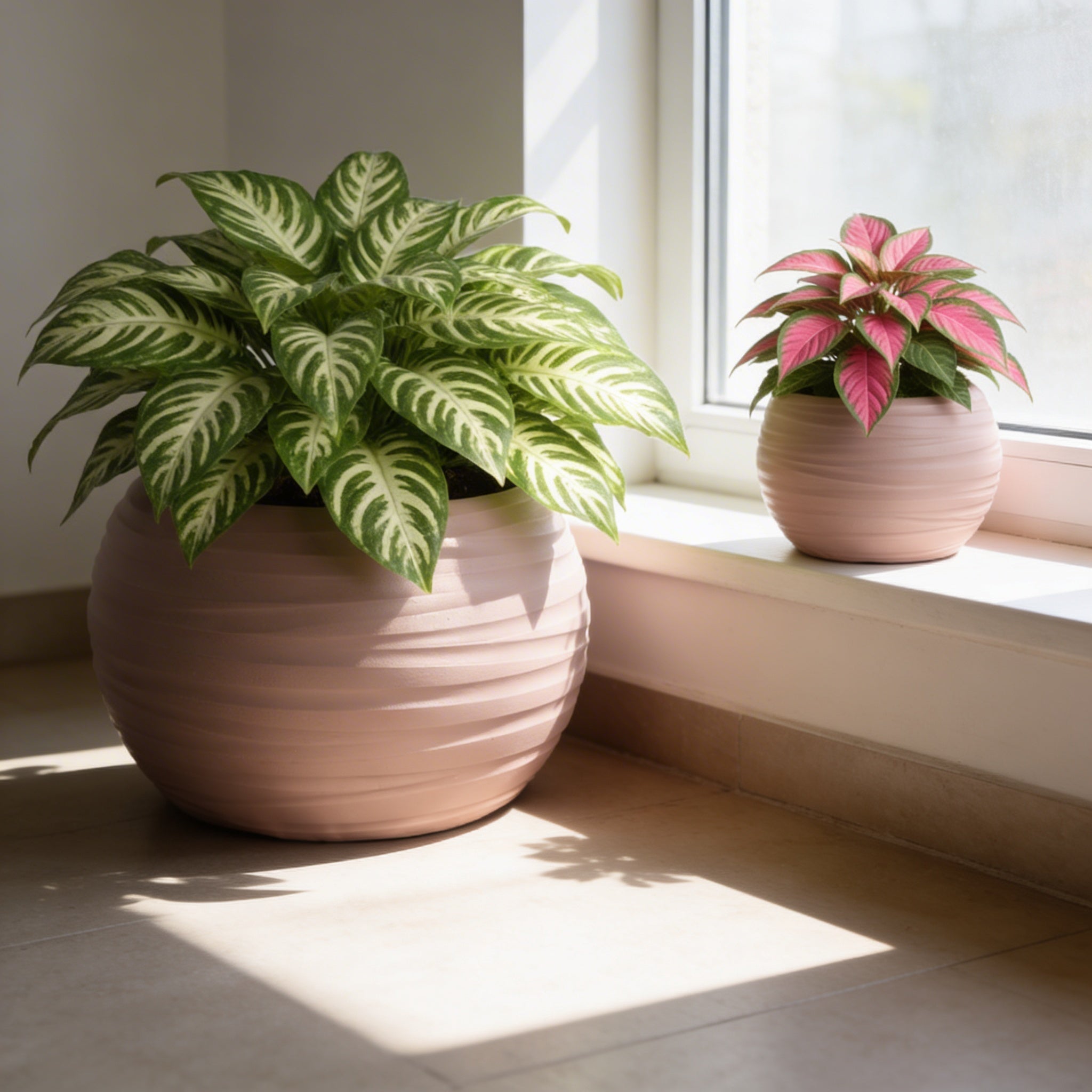 Plant Power