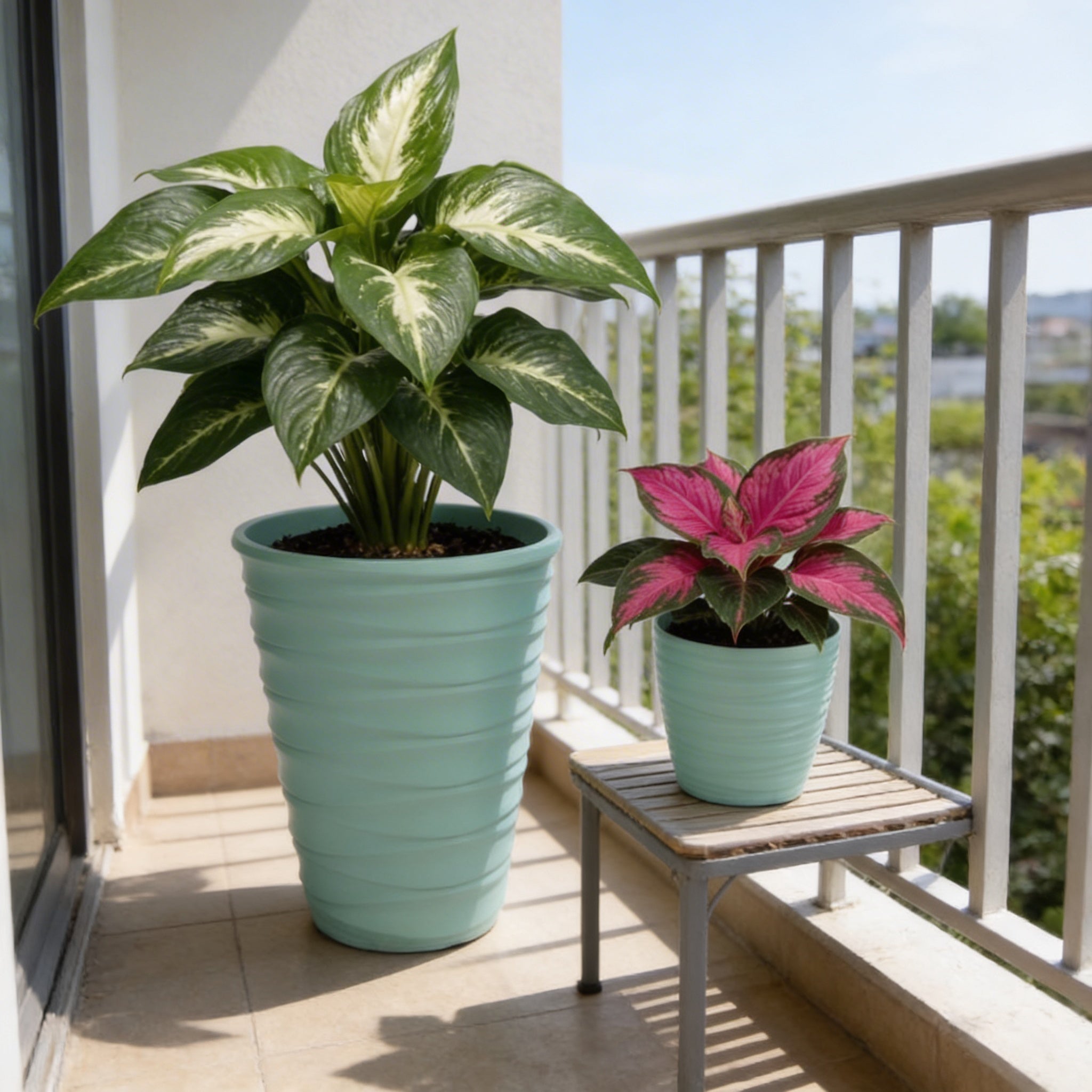 Plant Power