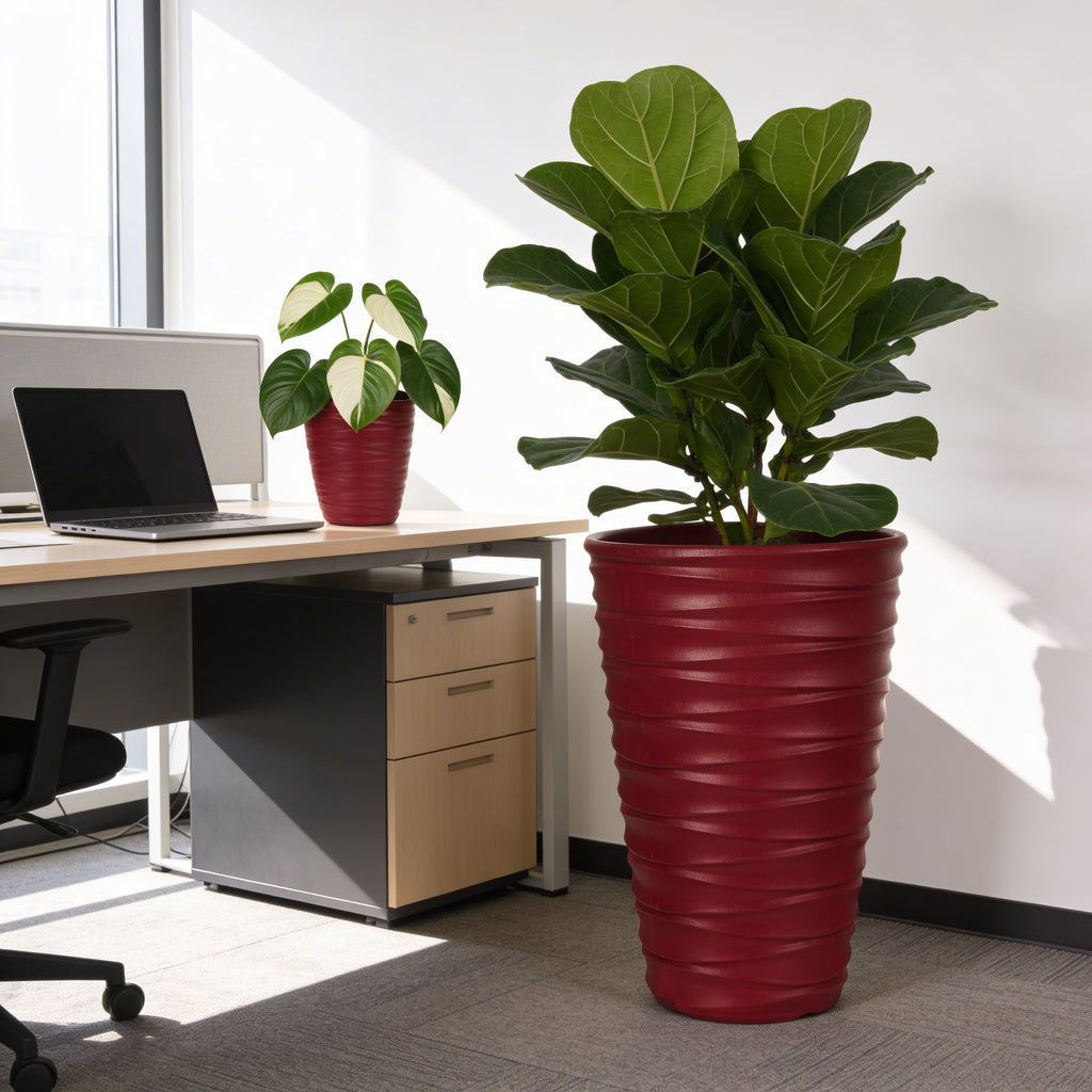 Plant Power