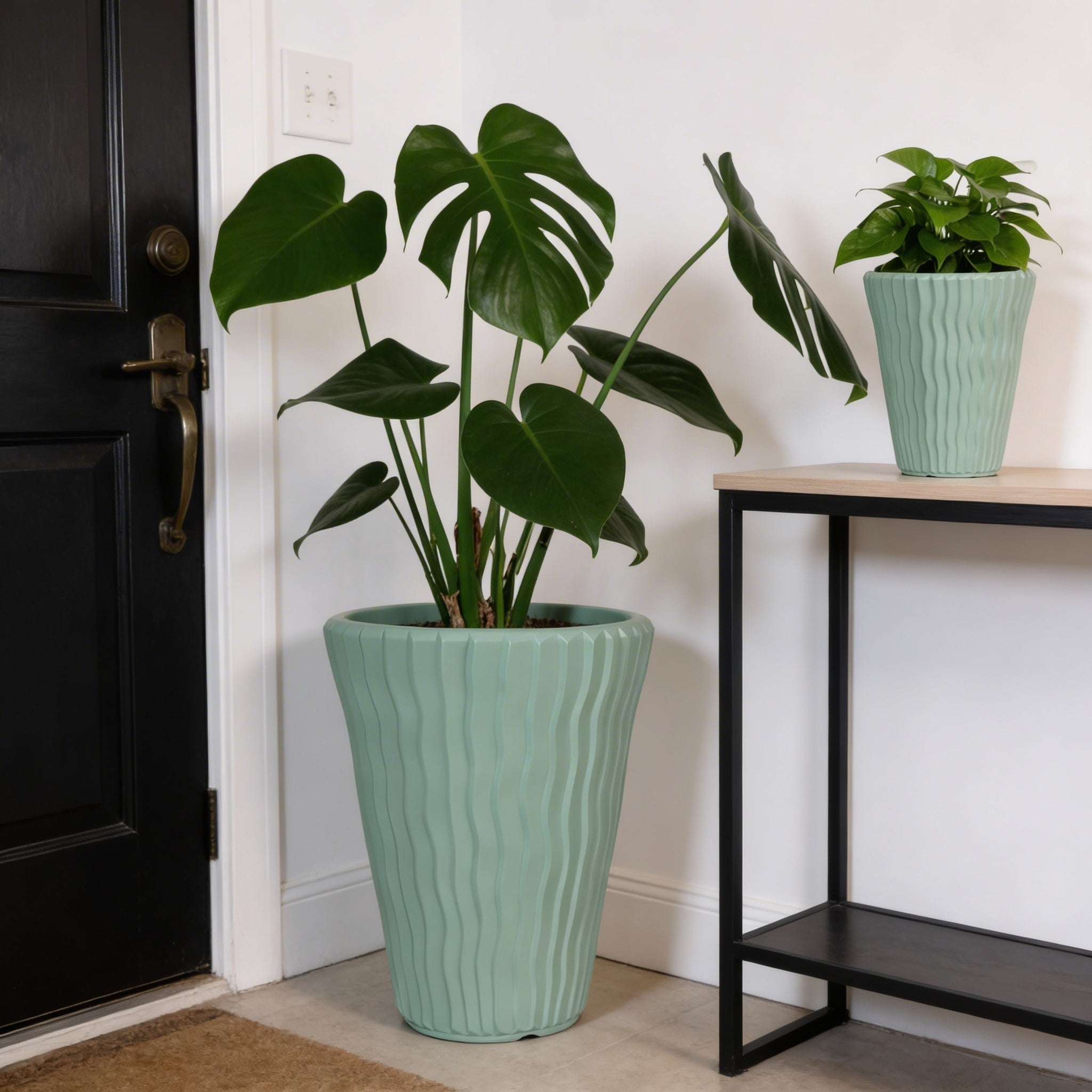 Plant Power