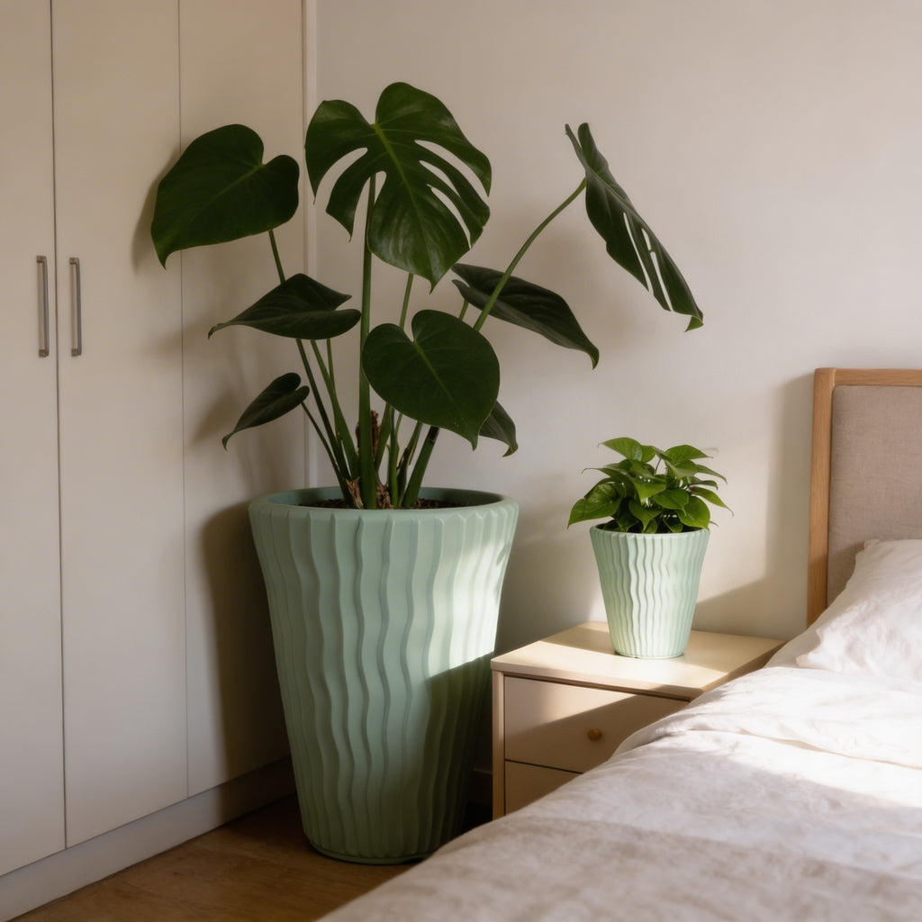 Plant Power