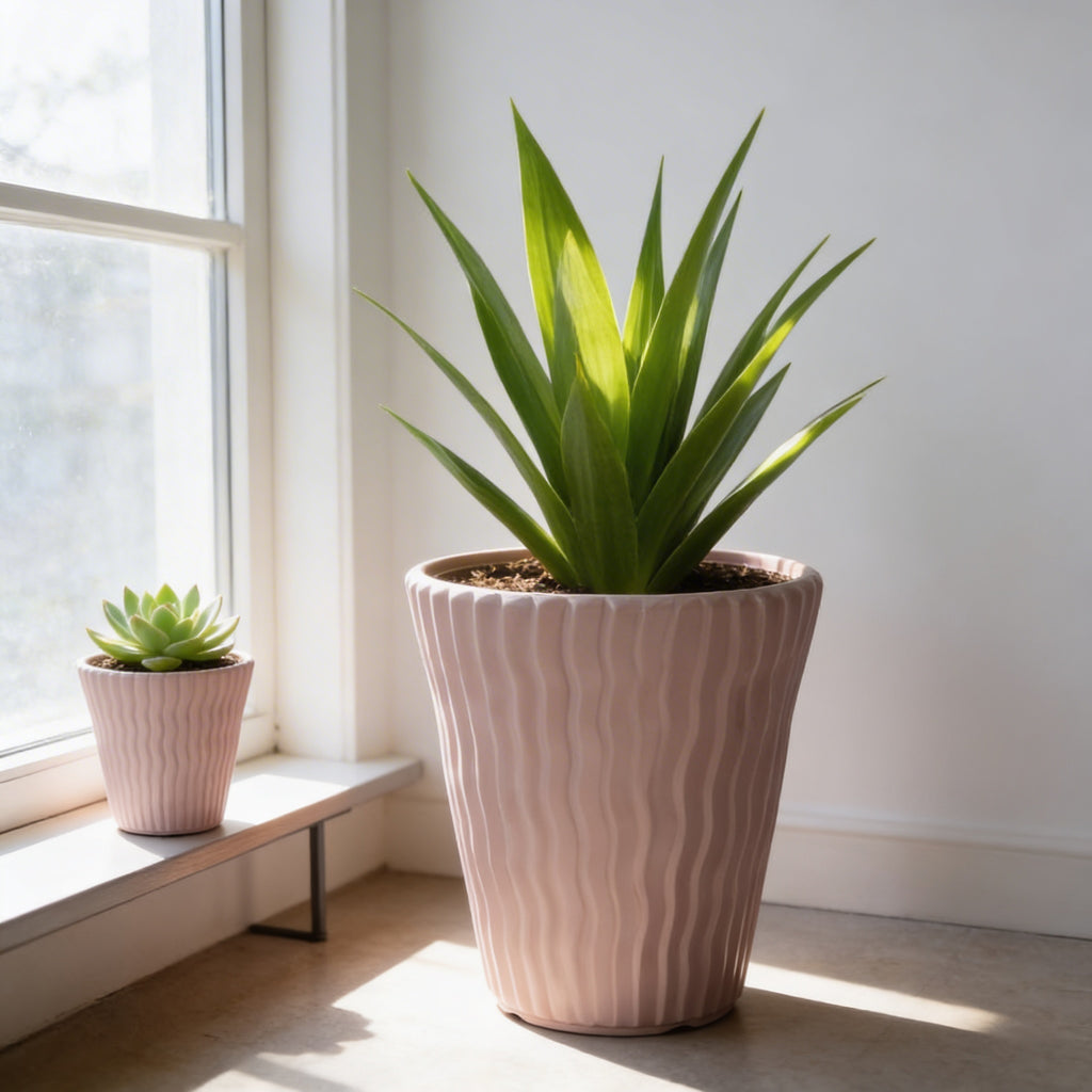 Plant Power