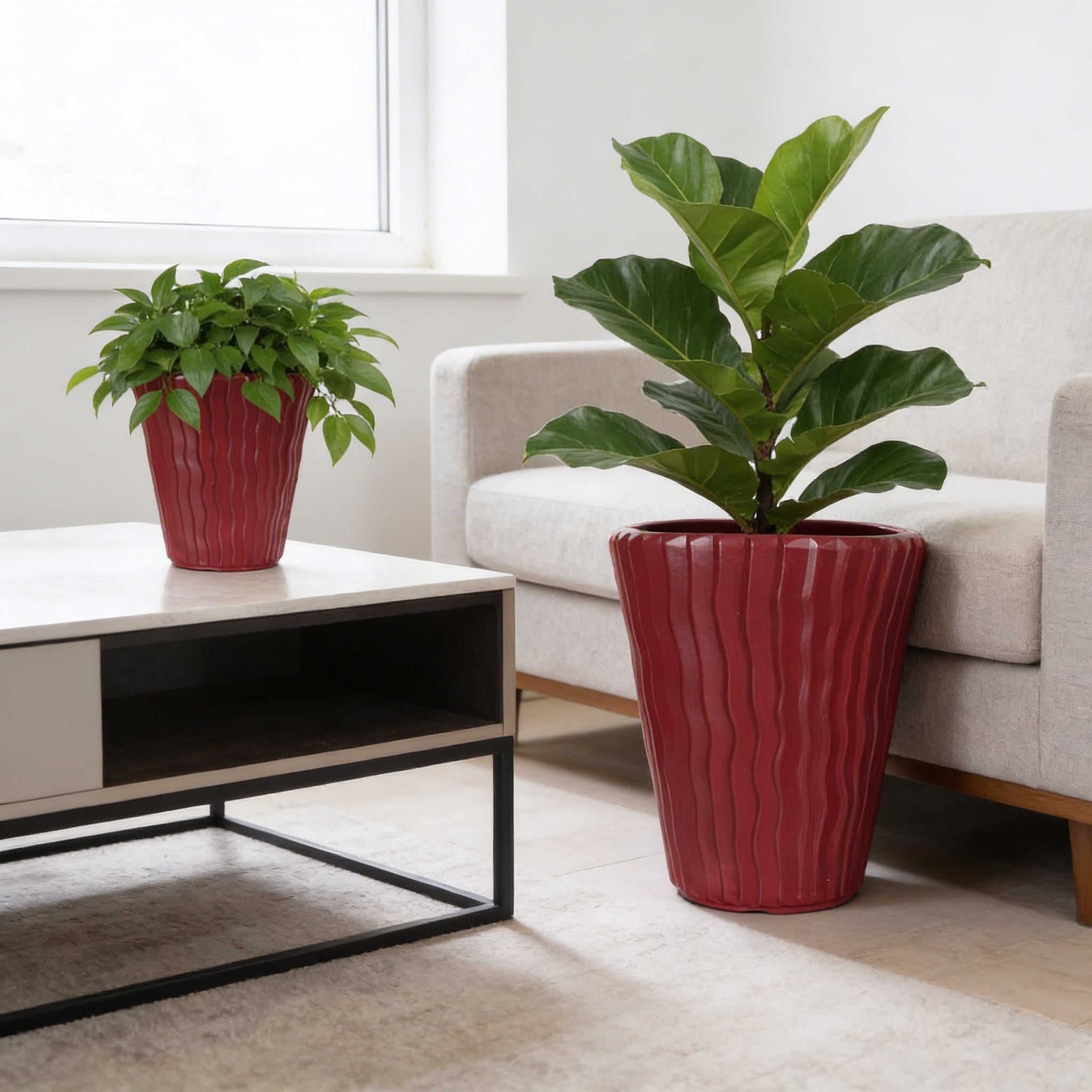 Plant Power
