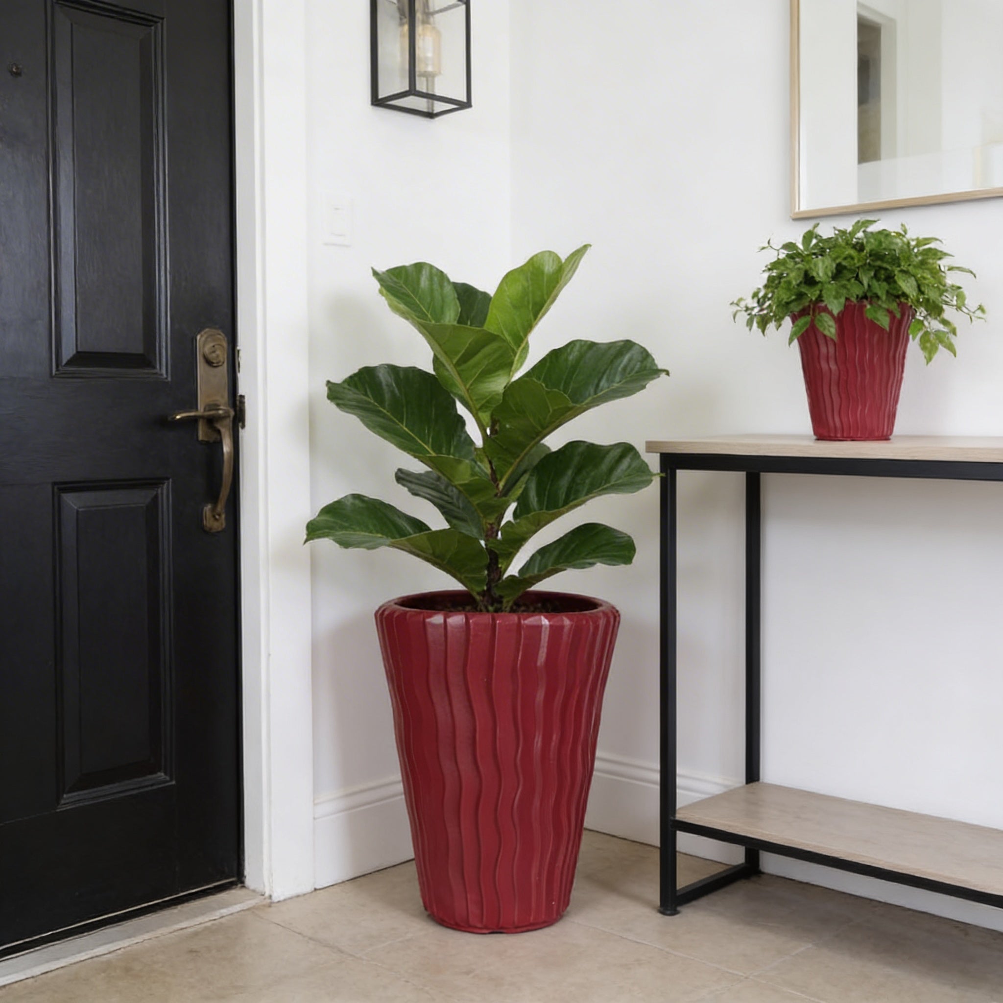 Plant Power