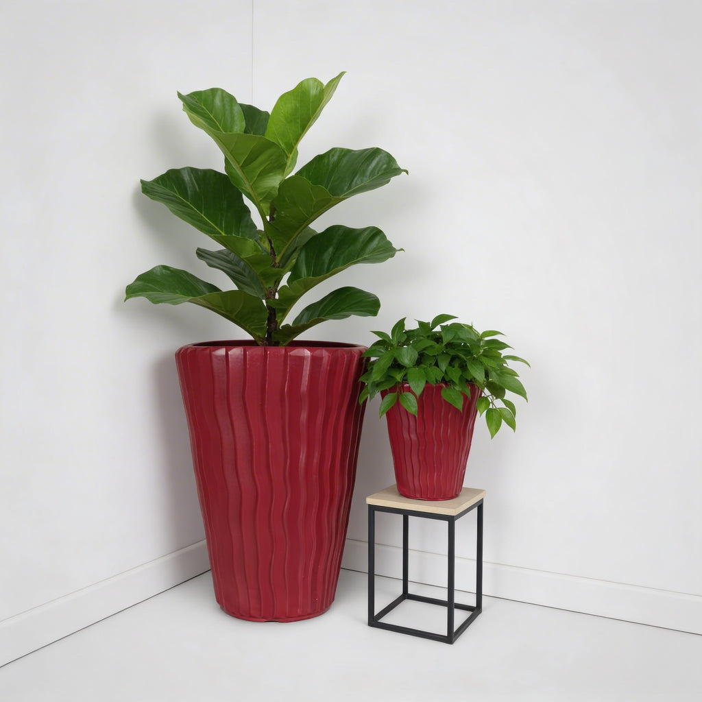 Plant Power