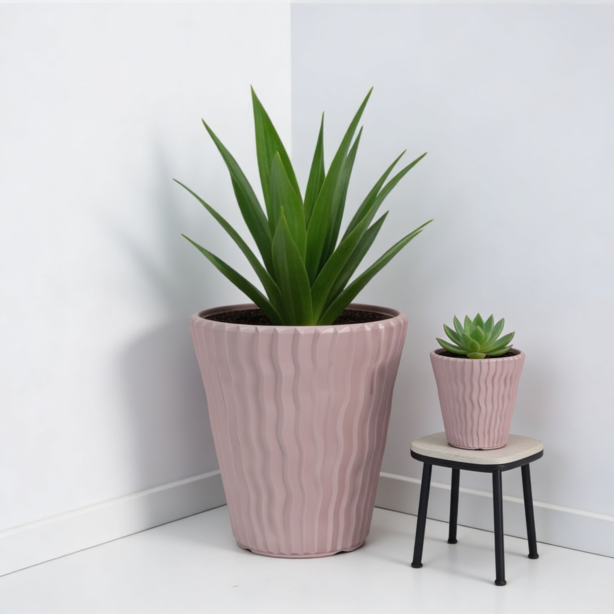 Plant Power