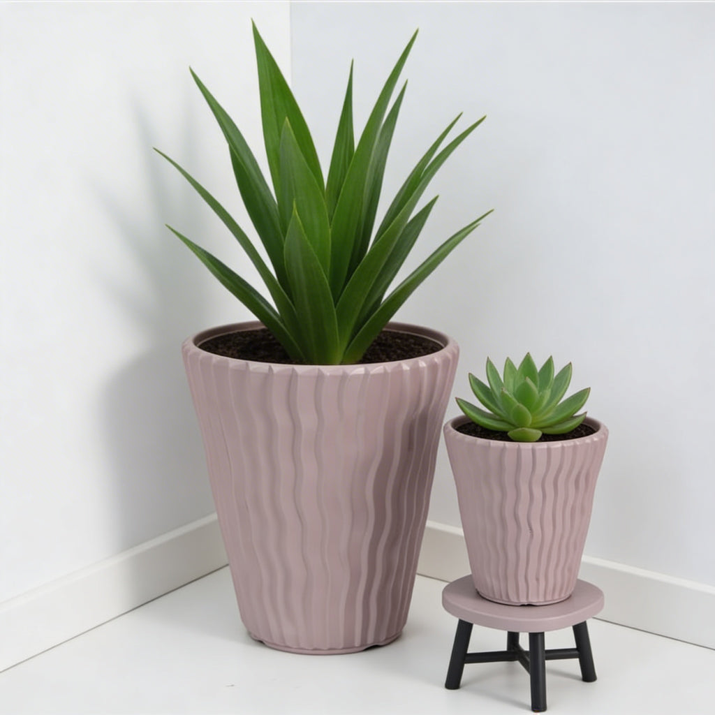 Plant Power