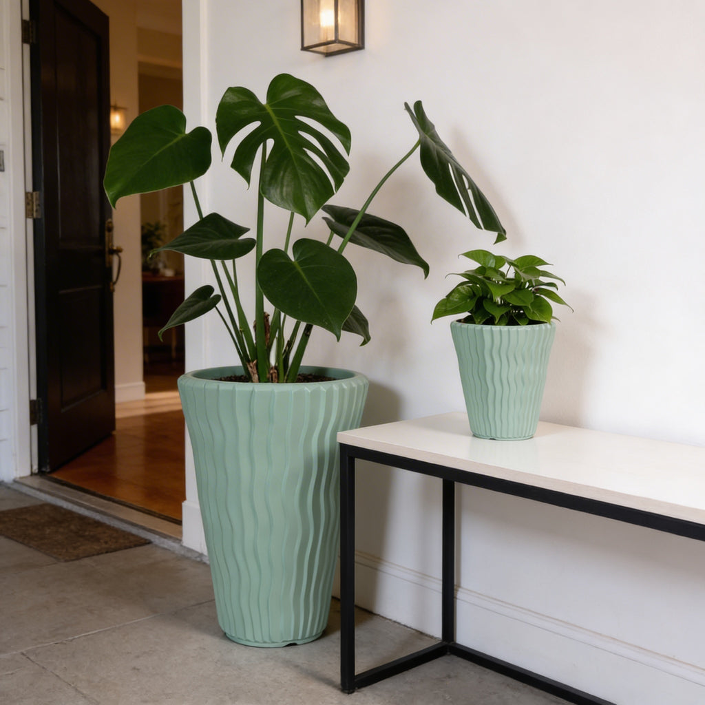 Plant Power