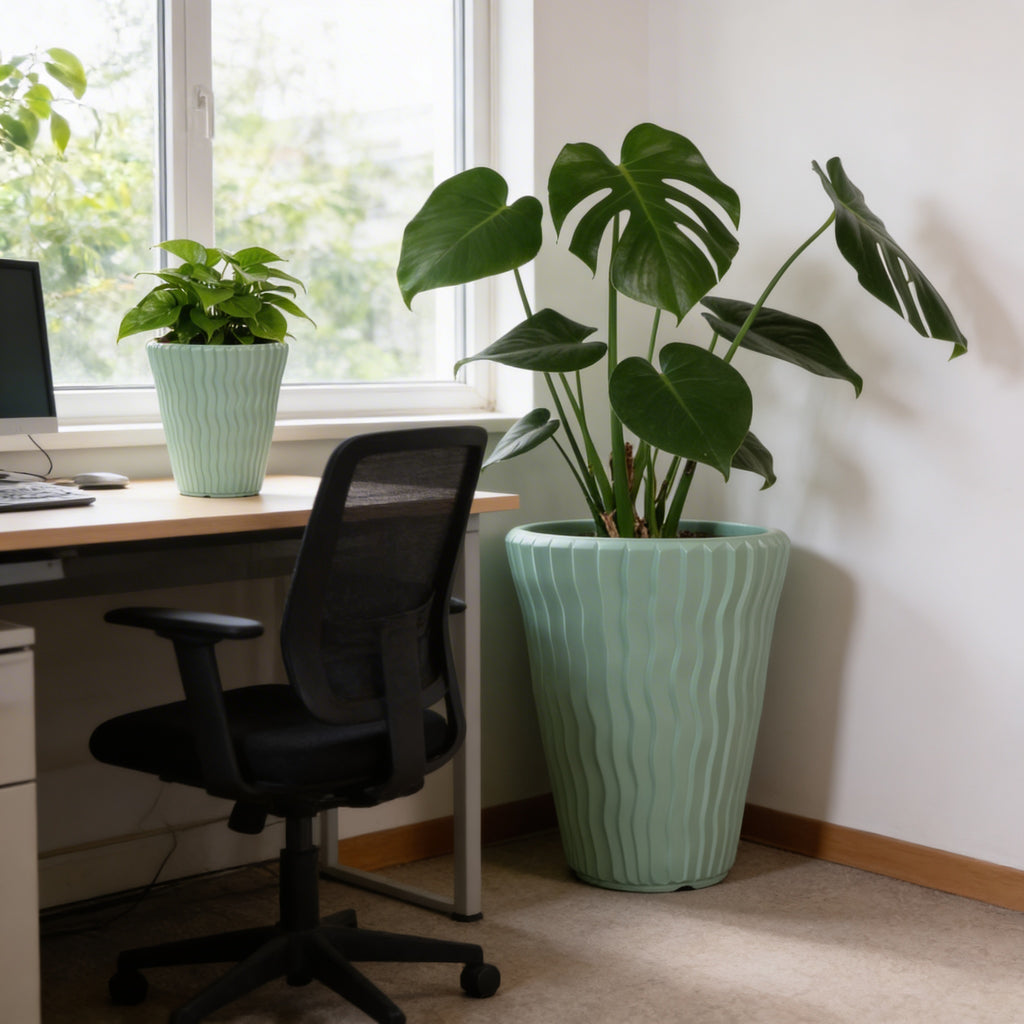 Plant Power
